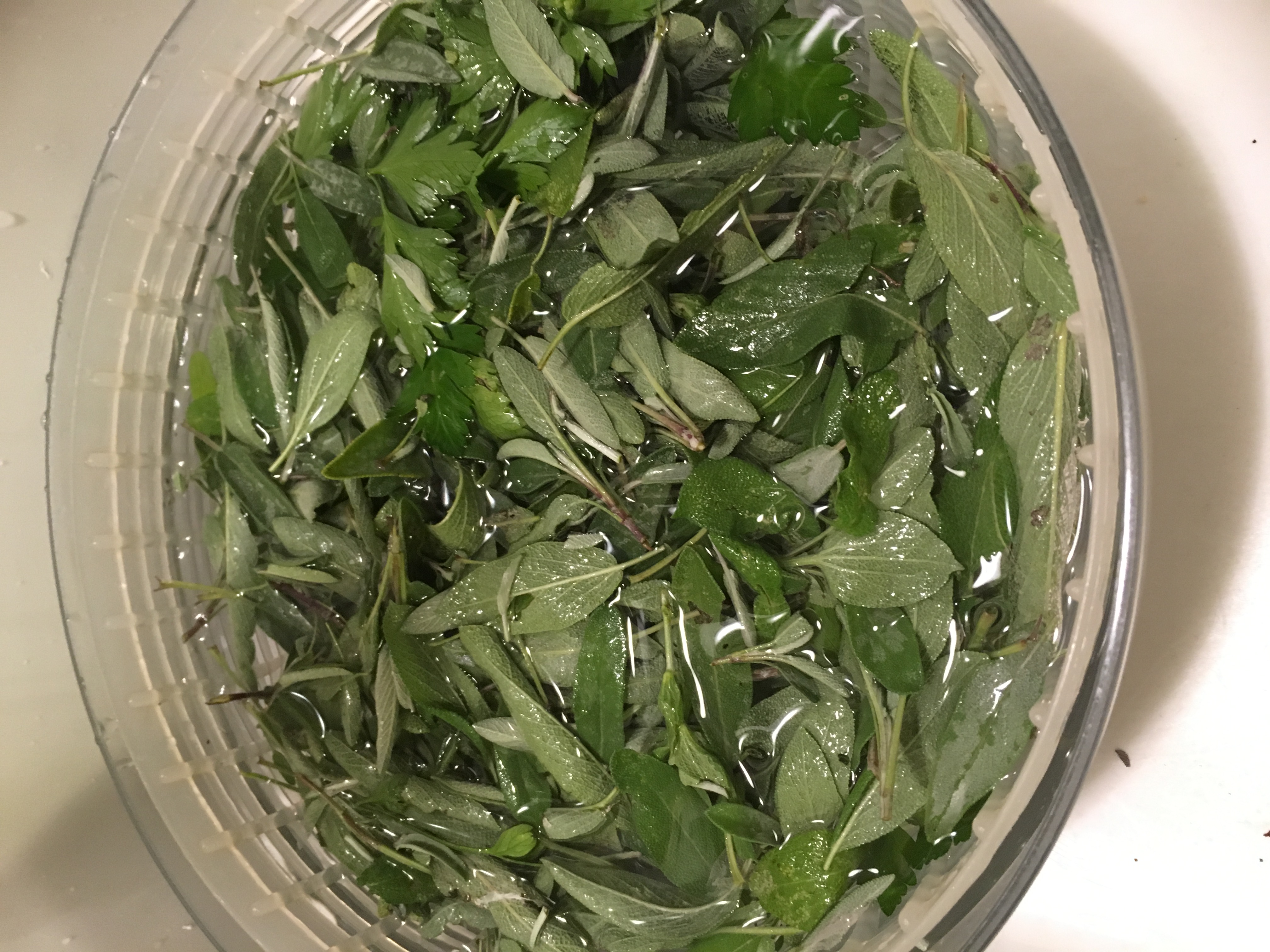 Washing sage and parsley